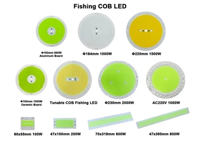 Come scegliere un LED da pesca?